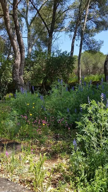Frühstückspension Villa Morgante B&B Pedara Italien