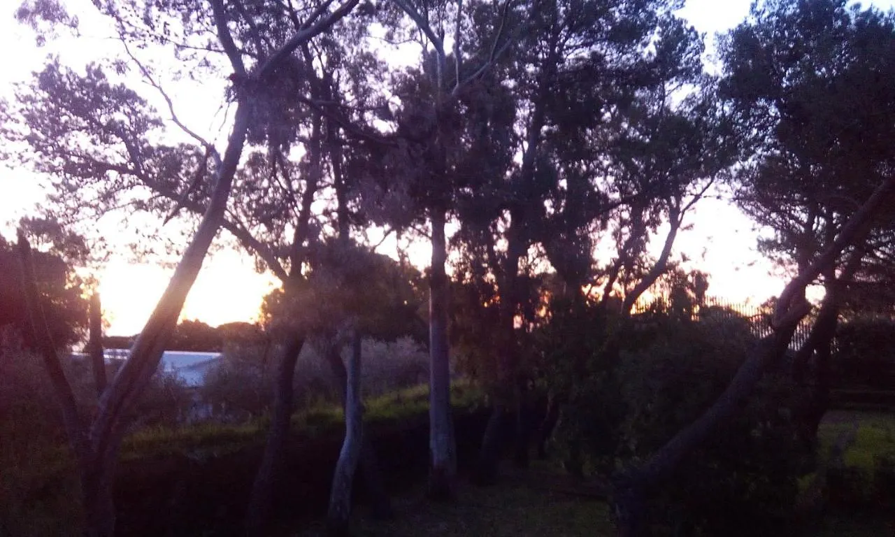 Bed & Breakfast Villa Morgante B&B Pedara Italia